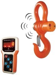 SH-WD 30 Ton El Terminalli Vinç Baskülü