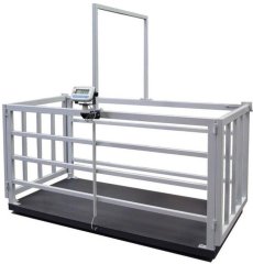 EKO 1500 Kg. 100x200 Canlı Hayvan Baskülü