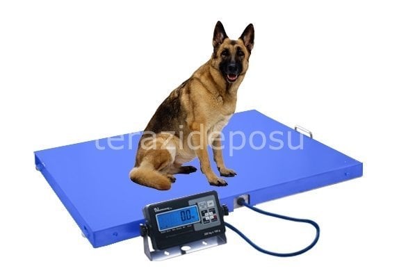 RAW 150 Kg. 78x119 Veteriner Baskülü